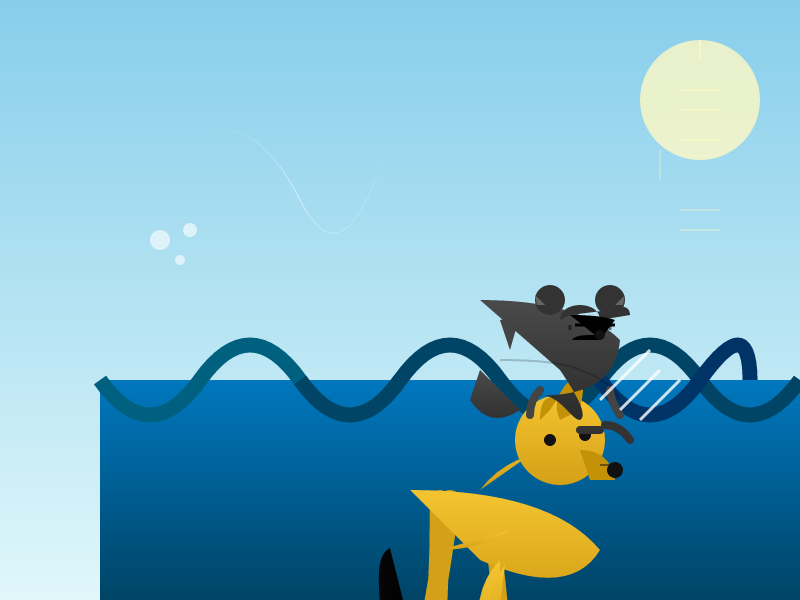Qwen3.5 9B: Raccoon SVG benchmark